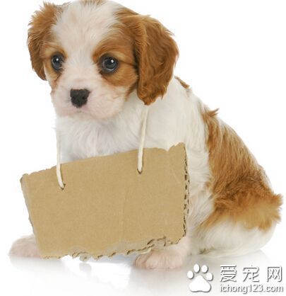 前锋如何通过心理训练增强比赛信心_0